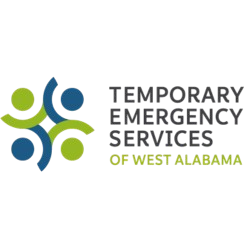 Temporary Emergency Services logo