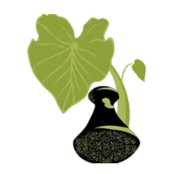 Hawaiʻi Health & Harm Reduction Center @ Kakaʻako logo