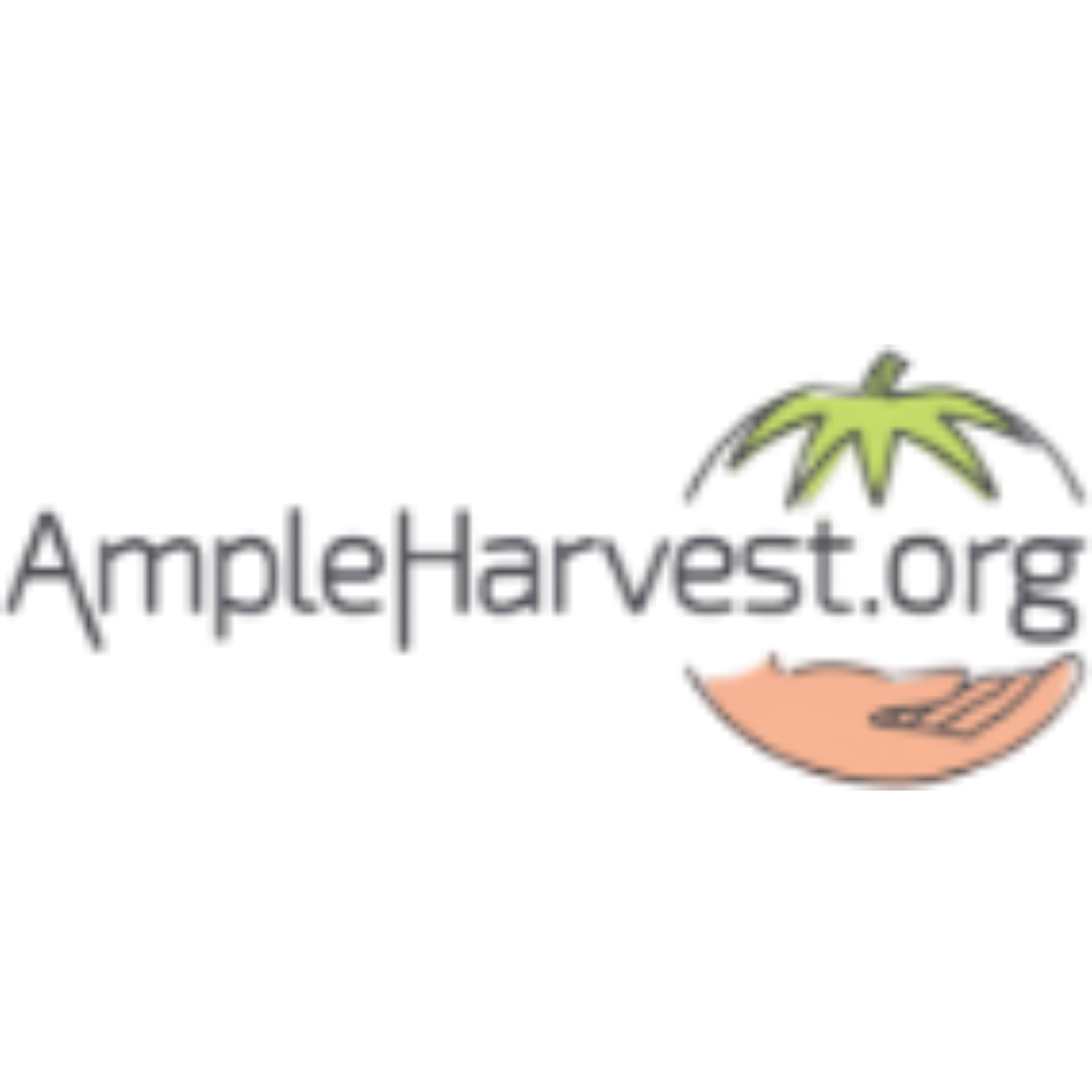 City Food Pantry logo